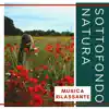 Melissa Calma - Sottofondo Natura - Musica rilassante per calmare la mente