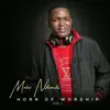 Malusi Ndimande - Horn of Worship Vol. 1 EP