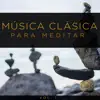 Schola Camerata - Música Clásica para Meditar, Vol. 1