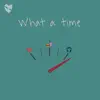 fenekot - What a Time - Single