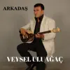 Veysel Uluağaç - Arkadaş - Single