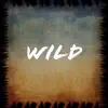 VGLAND & MECIAS - Wild - Single