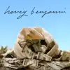 Hovey Benjamin - Bag Dad - Single