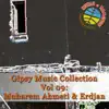 Erdjan & Muharem Ahmeti - Gipsy Music Collection, Vol. 9