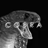 Award Winning Gardens - Cobra - Single