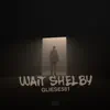 Gliese581 - Wait Shelby - Single