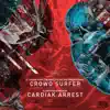 Counterstrike, Cooh & MathizM - Crowd Surfer - The Outside Agency Remix / Cardiak Arrest - Single