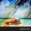 Paul Gelsomine - Essential Sound Island Waves