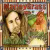 The Grassmasters - Marley Grass