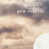 Peter Pejtsik - pro multis