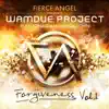 Wamdue Project & Jonathan Mendelsohn - Fierce Angel Presents Wamdue Project - Forgiveness, Vol. 1 (Remixes)