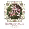 Jun-ichi Kamiyama J PROJECT - Premium Orgel J-Pop for Adults