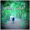 WiseWordsOfEli - Why God? (feat. Sarah Bosworth) - Single