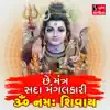 Niranjan Pandya - Che Mantra Sada Mangalkaari Om Namah Shivaya - Single