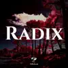 CollierSound - Radix