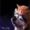 Cats and Dogs - This Life