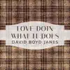 David Boyd Janes - Love Doin What It Does - Single