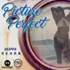 Skippa Akhan - Picture Perfect - Single