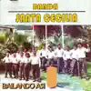 Banda Santa Cecilia - Bailando así