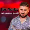 Sós Norby - Sok mindent ígértél - Single