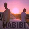 DJ Flow - Habibi (feat. Young Zerka) - Single