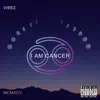 Vibez - I Am Cancer - Single