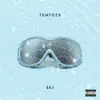 TenToes - Ski - Single