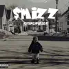 Smizz - Unbelievable