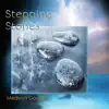 Medwyn Goodall - Stepping Stones: The Very Best of Medwyn Goodall 2000-2017