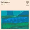 Various Artists - Fieldwave, Vol. 1