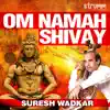 Suresh Wadkar - Om Namah Shivay - EP