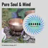 Various Artists - Pure Soul & Mind: Zen Meditation in Morning, Vol. 6