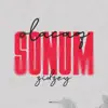 zidzey - Sonum Olacaq - Single