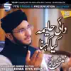 Muhammad Babar Sultan - Dai Haleema Kiya Kehna - Single