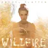 Rachel Platten - Wildfire