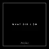 Amodeo - What Did I Do - Single