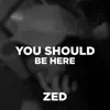 ZED - You Should Be Here - Single