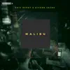 Eric Deray & Aivann Sachs - Malibu - Single