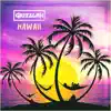 Grizzlah - Hawaii - Single