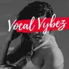 DJ Gameboy - Vocal Vybez - Single