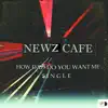 Newz Cafe - How Bad Do You Want Me (True Peak Time Jazz Chilt Mix) - Single