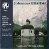 Gilles Swierc & Marika Hofmeyr - Brahms: Sonates pour clarinette et piano