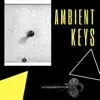 Alicia Nando - Ambient Keys - 20 Electronic Tracks