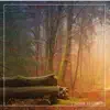 Sound Designers - Autumn Woods - Single