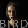 Amy Shull & David Shin - Bird - Single