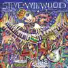 Steve Winwood - About Time