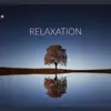 The Hip Hop Room - Relaxation - Single