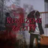 Spicy Amor - Nemůžeme za city (feat. Sirius18) - Single