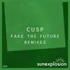 Cusp - Fake the Future (Remixes)