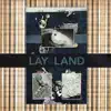 Lay of the Land - Entrance Presence